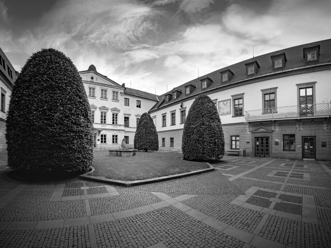 Romana Mazalová univerzita